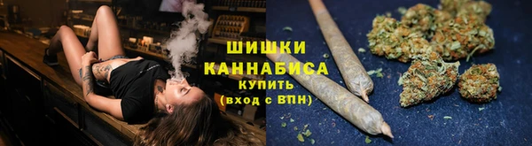 винт Верея