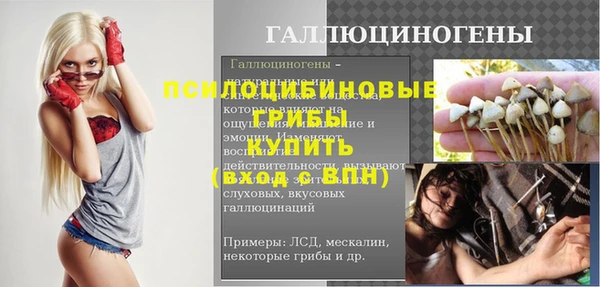винт Верея