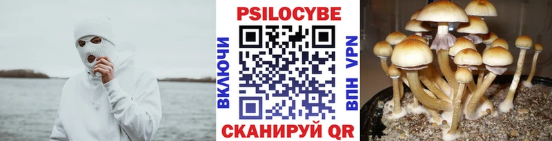 Галлюциногенные грибы мухоморы  наркота  Гаврилов Посад 