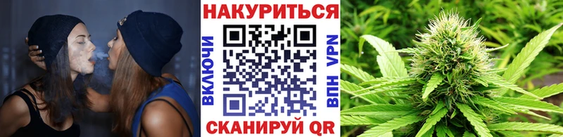 дарнет шоп  Гаврилов Посад  МАРИХУАНА конопля 